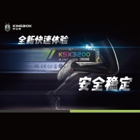 黑金刚KSX3200 256G M.2固态硬盘
