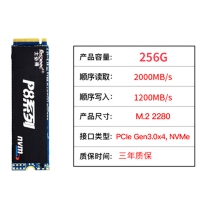 士必得固态 P8-256G M.2 NVME 固态硬盘笔记本电脑台式机SSD
