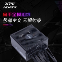 威刚（ADATA）XPG魔核II SE750W黑色电源 金牌全模组台式电脑电源atx3.0电源支持4090