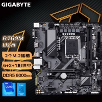 技嘉（GIGABYTE）超耐久 B760M D2H DDR5电脑游戏主板 支持12代13代CPU处理器